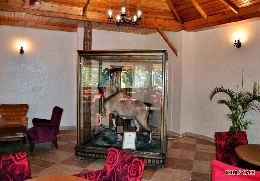 Patalya Thermal Resort Hotel Kızılcahamam Eksteriør bilde